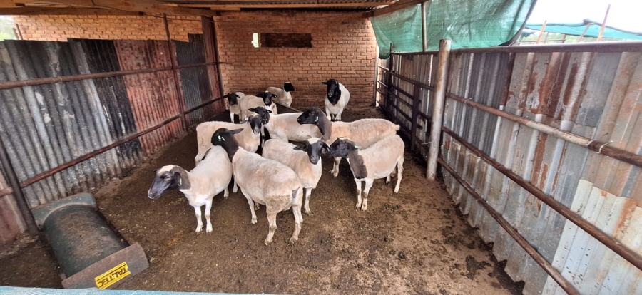 7 Bedroom Property for Sale in Swartruggens North West